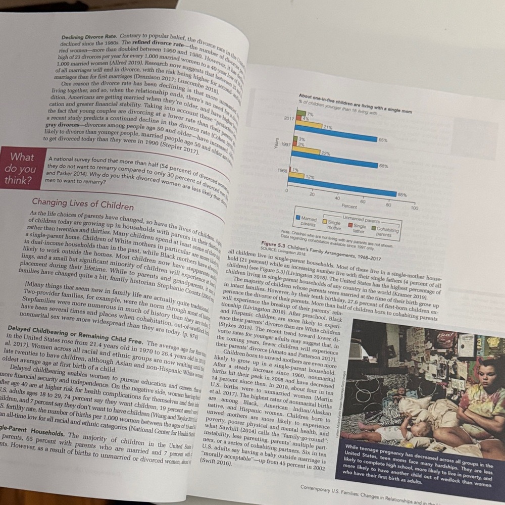 Understanding Social Problems Textbook - Picture 2 of 4